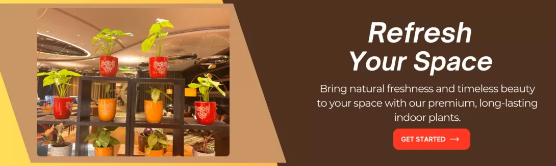 gift banner - gardengik
